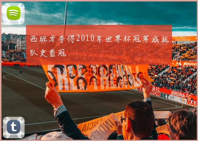 西班牙夺得2010年世界杯冠军成就队史首冠