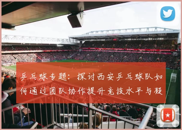 乒乓球专题：探讨西安乒乓球队如何通过团队协作提升竞技水平与凝聚力