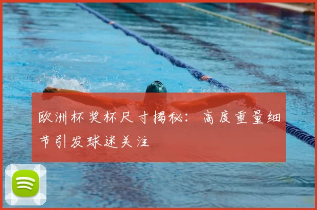 欧洲杯奖杯尺寸揭秘:高度重量细节引发球迷关注