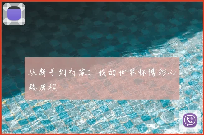 从新手到行家:我的世界杯博彩心路历程