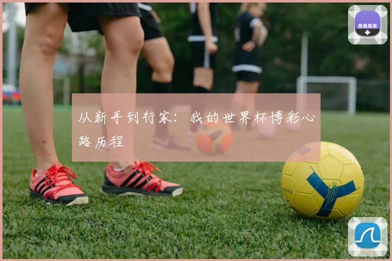 从新手到行家:我的世界杯博彩心路历程