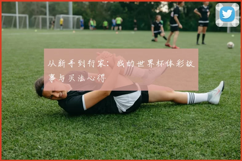 从新手到行家:我的世界杯体彩故事与买法心得