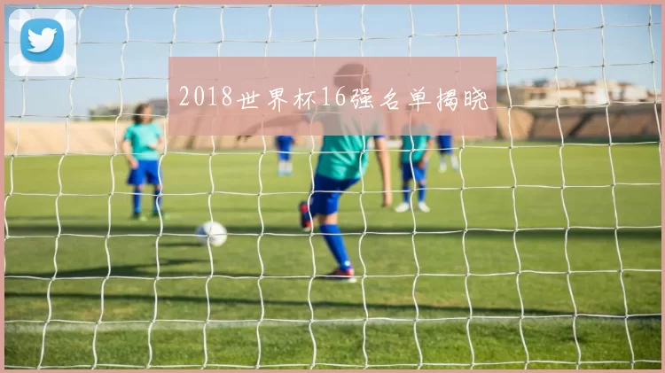 2018世界杯16强名单揭晓