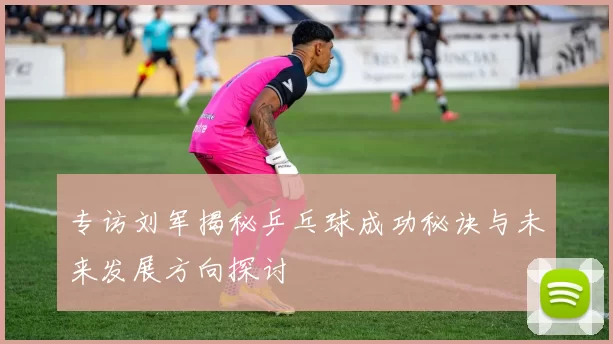专访刘军揭秘乒乓球成功秘诀与未来发展方向探讨