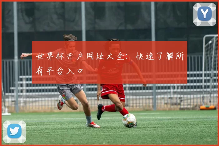 世界杯开户网址大全：快速了解所有平台入口