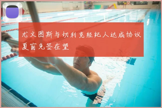 尤文图斯与切利克经纪人达成协议夏窗免签在望