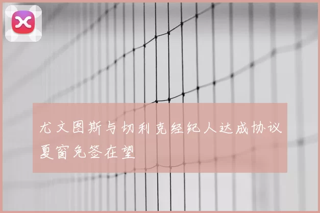 尤文图斯与切利克经纪人达成协议夏窗免签在望