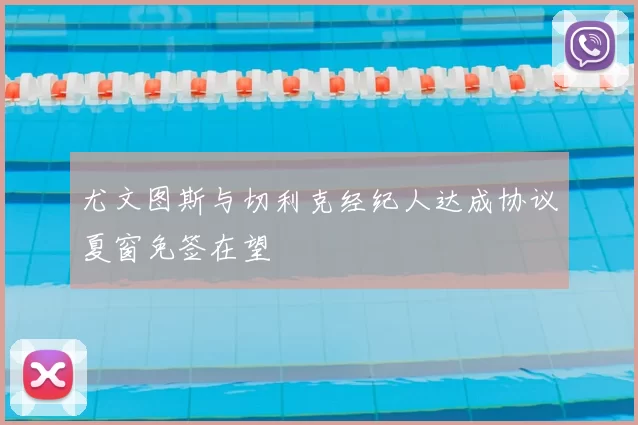 尤文图斯与切利克经纪人达成协议夏窗免签在望