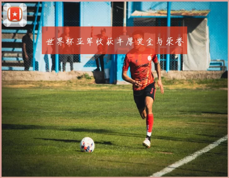 世界杯亚军收获丰厚奖金与荣誉
