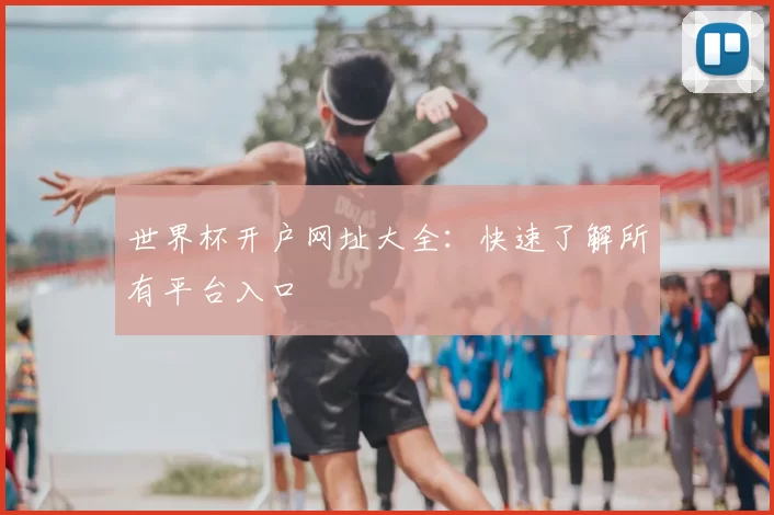 世界杯开户网址大全:快速了解所有平台入口