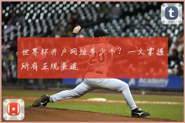 世界杯开户网址多少个?一文掌握所有正规渠道