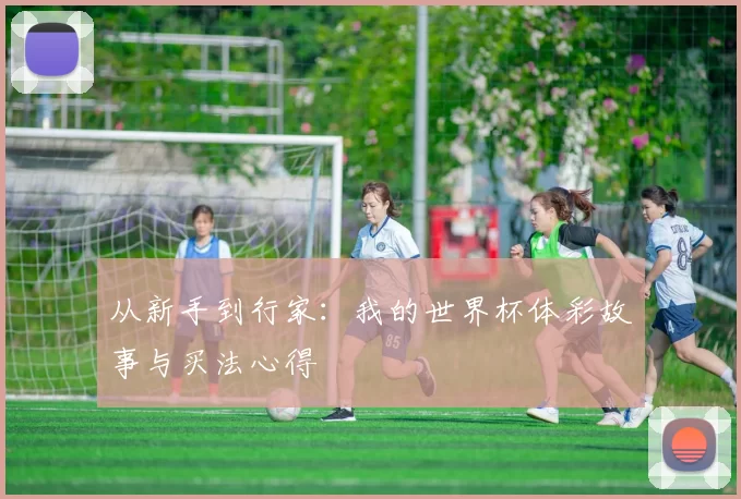 从新手到行家:我的世界杯体彩故事与买法心得