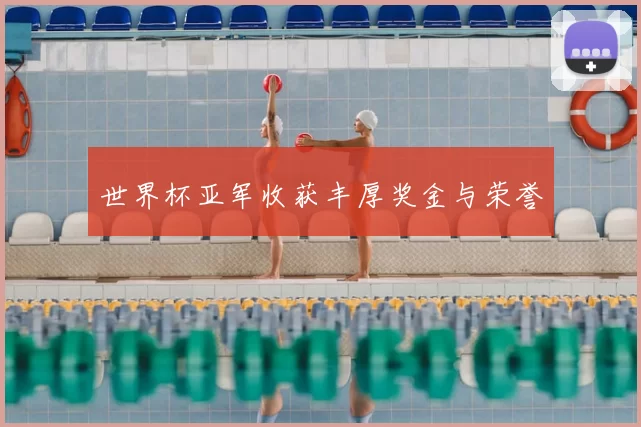 世界杯亚军收获丰厚奖金与荣誉