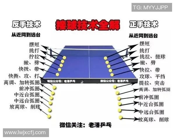 实时新闻乒乓球新手必看从零基础到技术入门的全面攻略与实用技巧分享